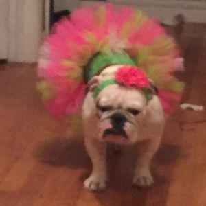 Meet your Posher, Caroline