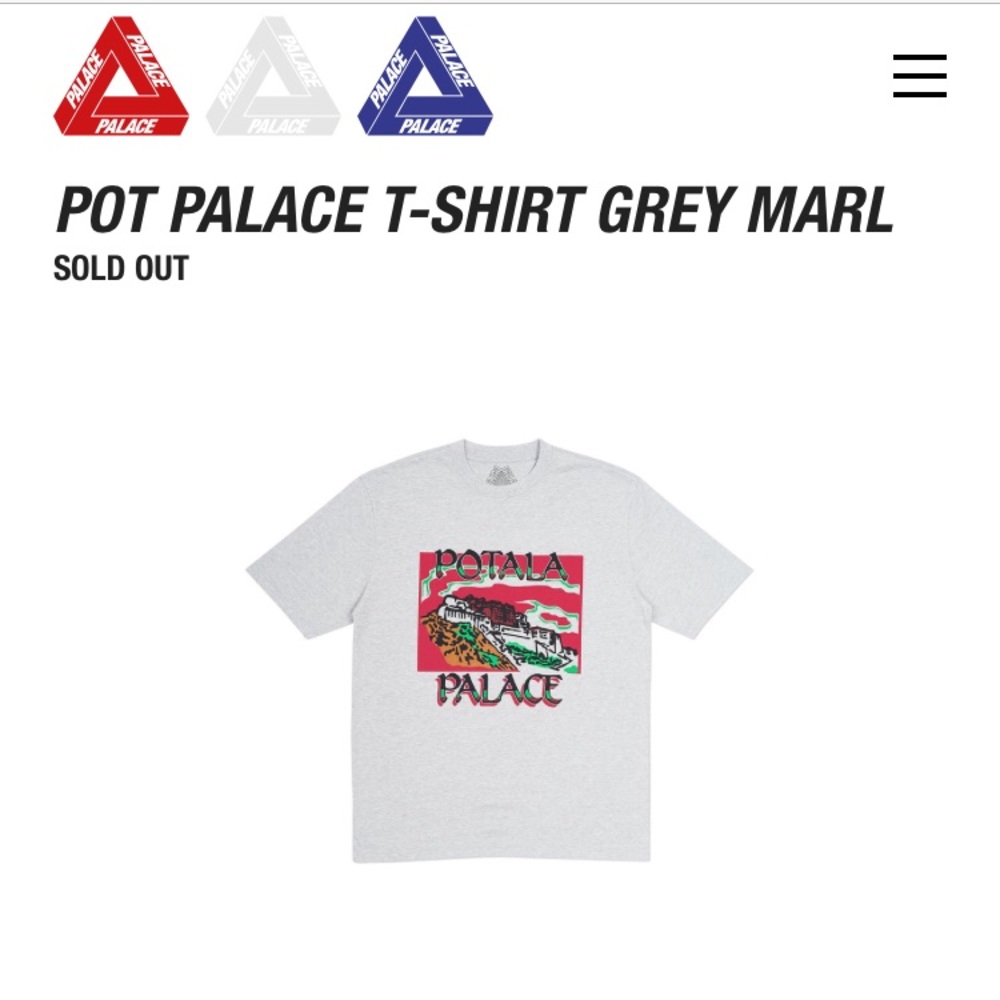 PALACE x POTALA T-Shirt GRAY