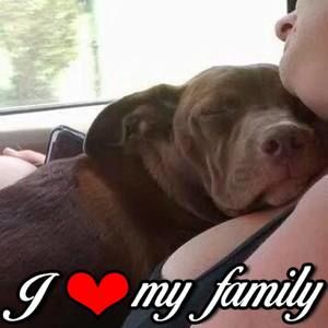 Meet your Posher, Alane grantham