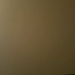 Meet your Posher, Laterrius