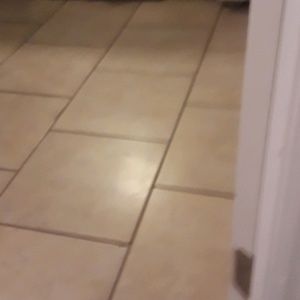 Meet your Posher, Andra