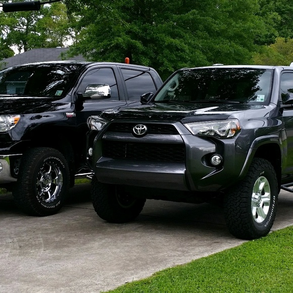 Meet your Posher, Tammie - Picture 1 of 1