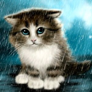 Meet your Posher, Barbara