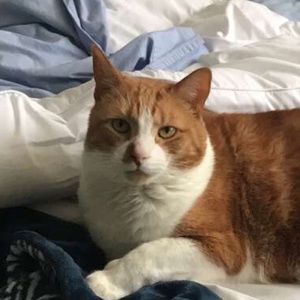 Meet your Posher, Ian