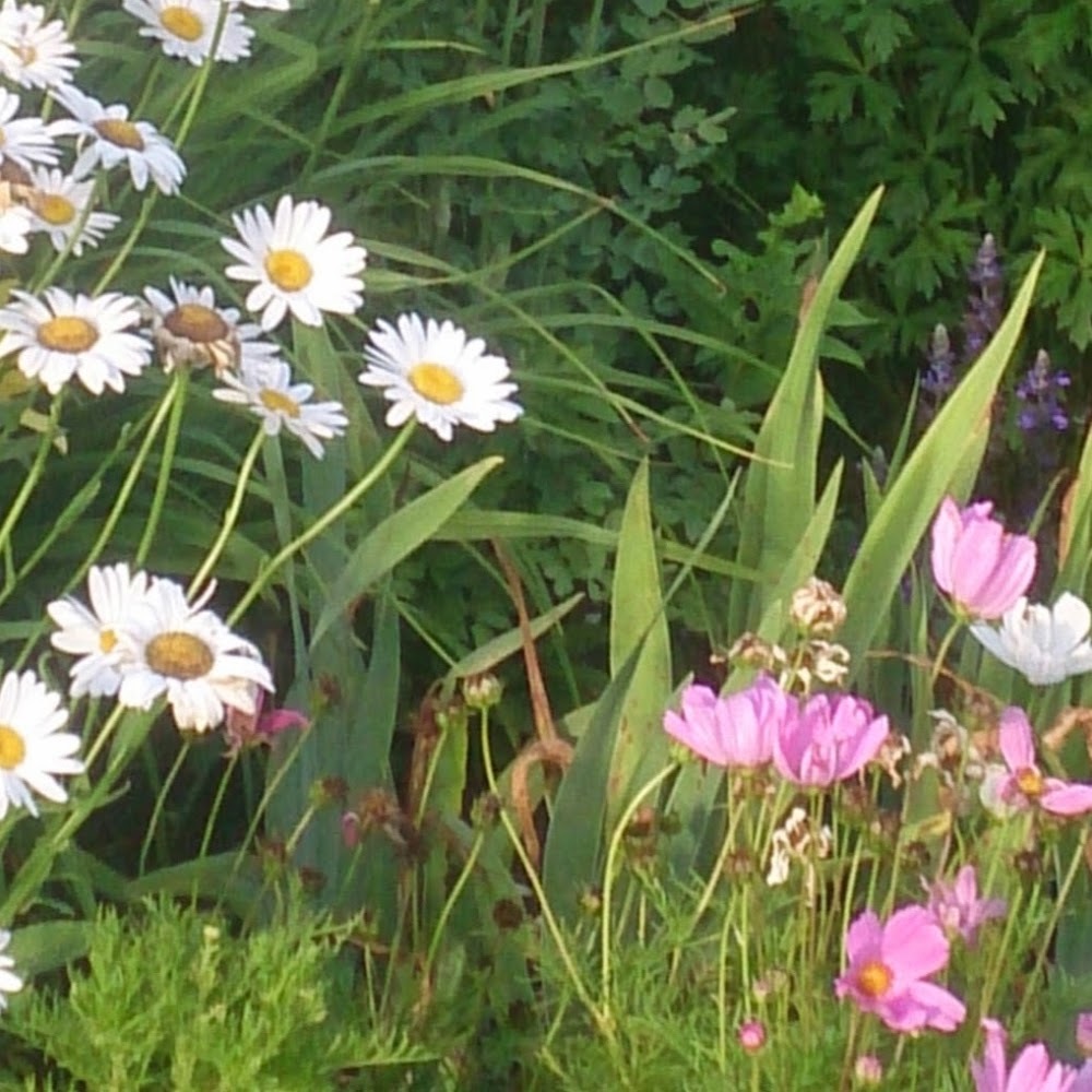 Meet your Posher, Katherine