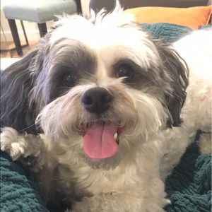 Meet your Posher, Jane