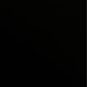 Meet your Posher, Genna