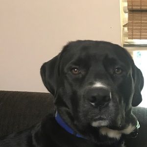 Meet your Posher, Kelcie