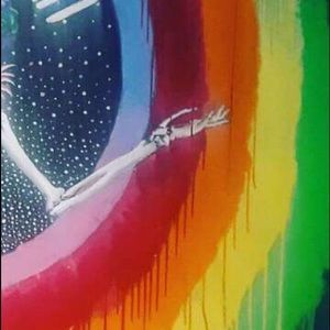 Meet your Posher, Shayla