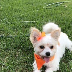 Meet your Posher, Veronica