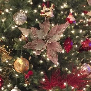 Meet your Posher, Rita