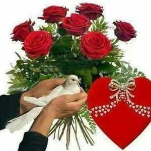 Meet your Posher, Connie