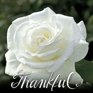 Meet your Posher, Tabitha