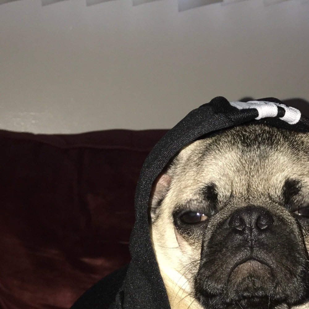 Meet your Posher, Brian