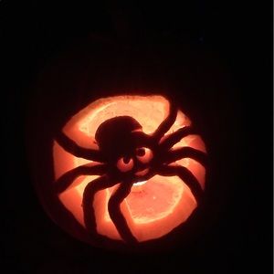 Meet your Posher, Ida