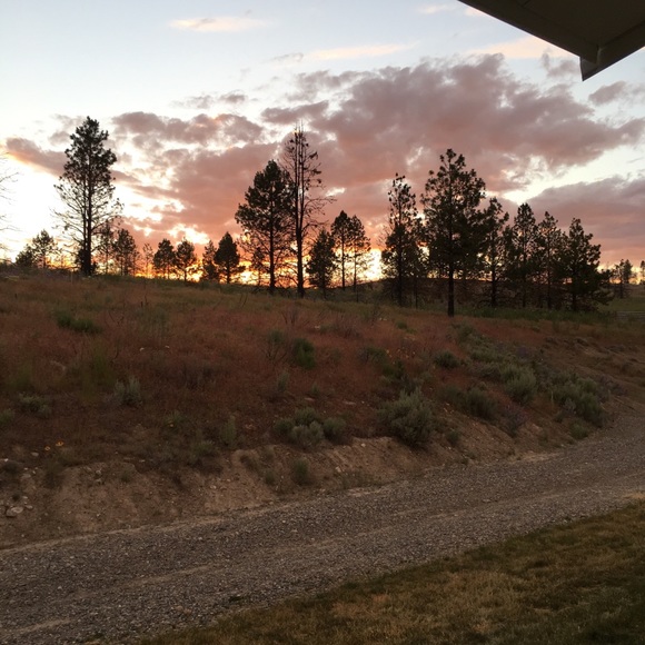 Meet your Posher, Jackie - Picture 2 of 2