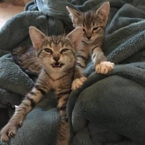 Meet your Posher, Leigh