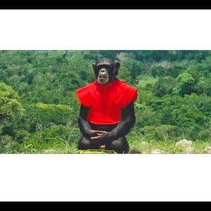 Meet your Posher, Tom