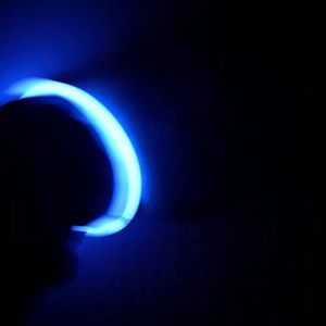 Meet your Posher, Ava