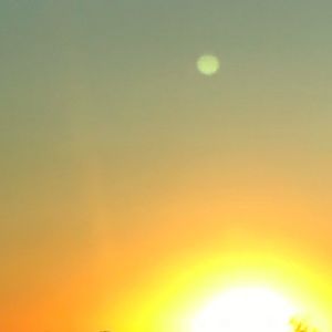 Meet your Posher, Robin