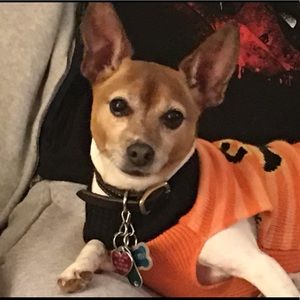 Meet your Posher, Maria