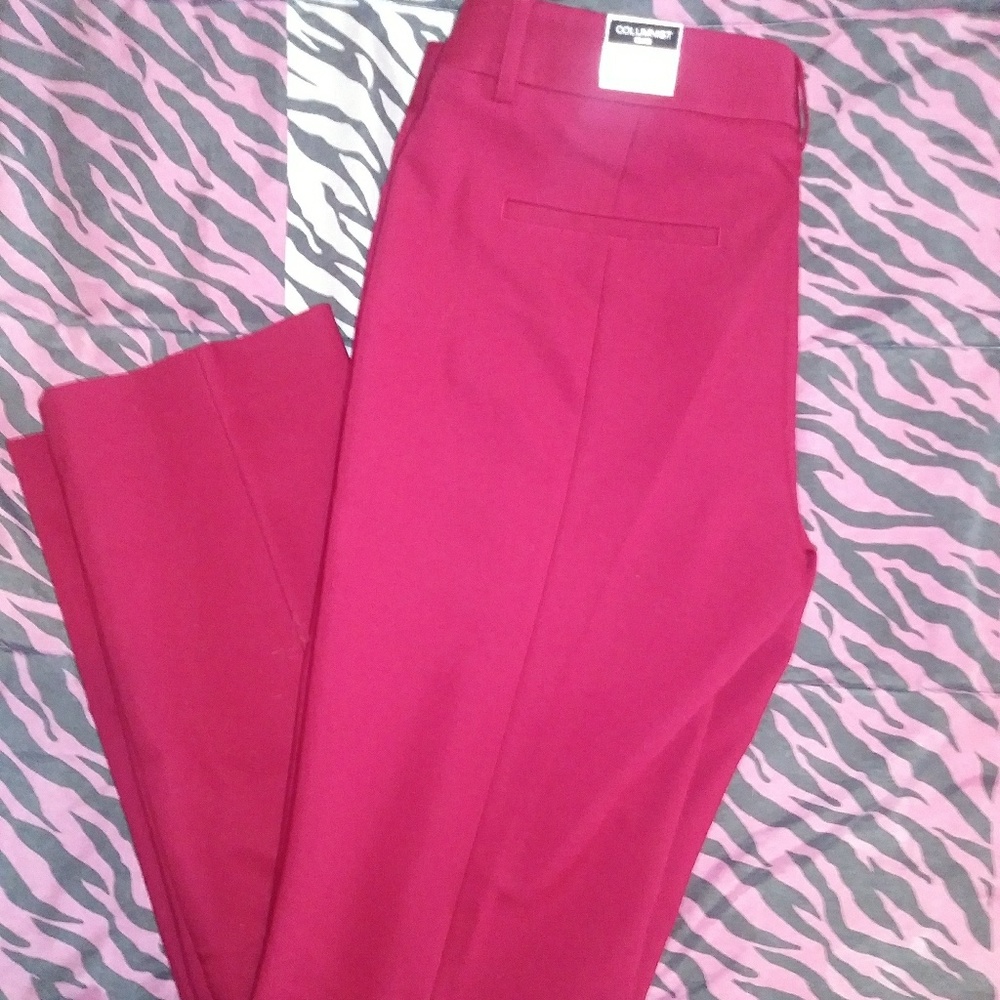 Nwt express pants
