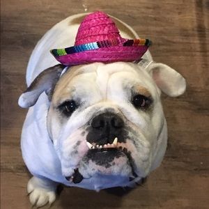 Meet your Posher, Carrie