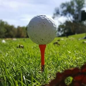 Meet your Posher, Drew