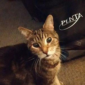 Meet your Posher, Robert