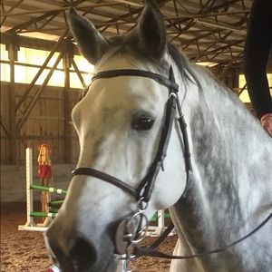 Meet your Posher, Anne