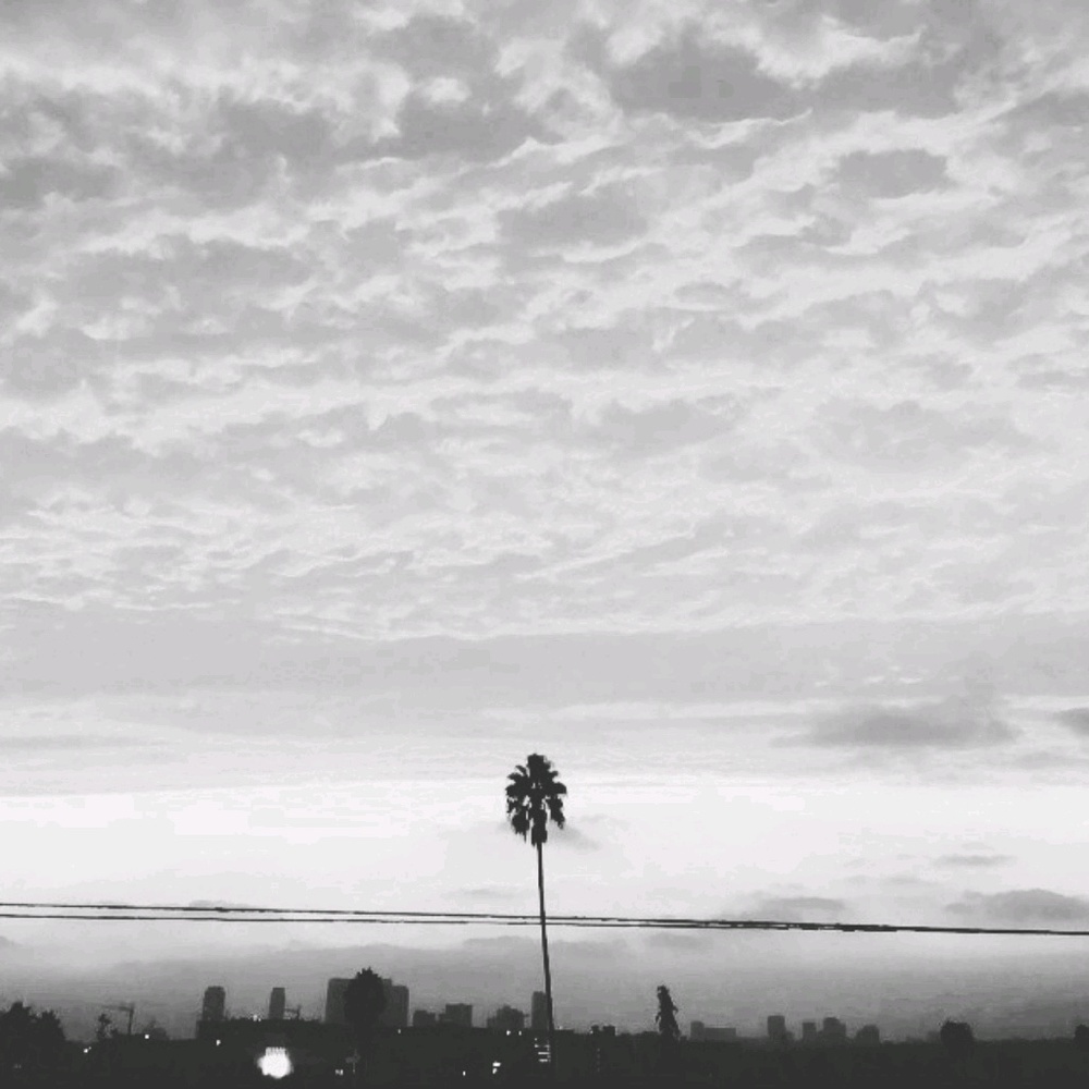 Meet your Posher, Sofia