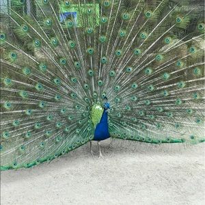 Meet your Posher, Leigh