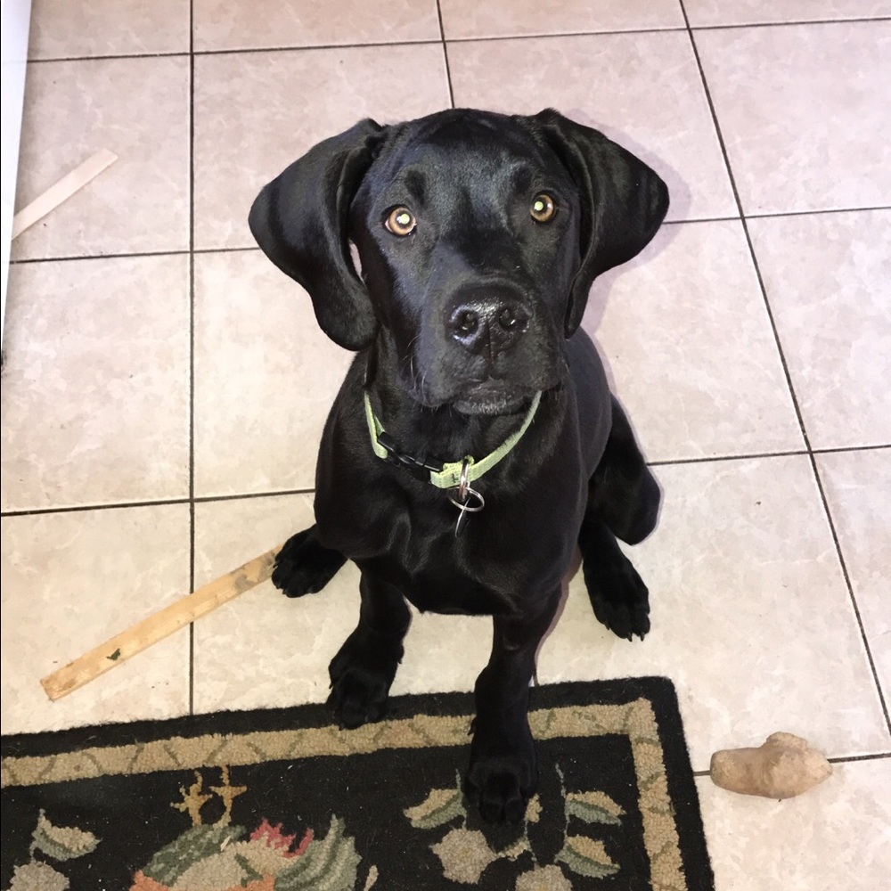 Meet your Posher, Kaylie