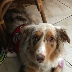 Meet your Posher, Janice