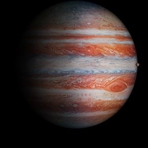 Meet your Posher, Cal