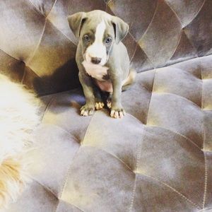 Meet your Posher, Narges