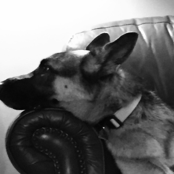 Meet your Posher, Renee - Picture 1 of 1