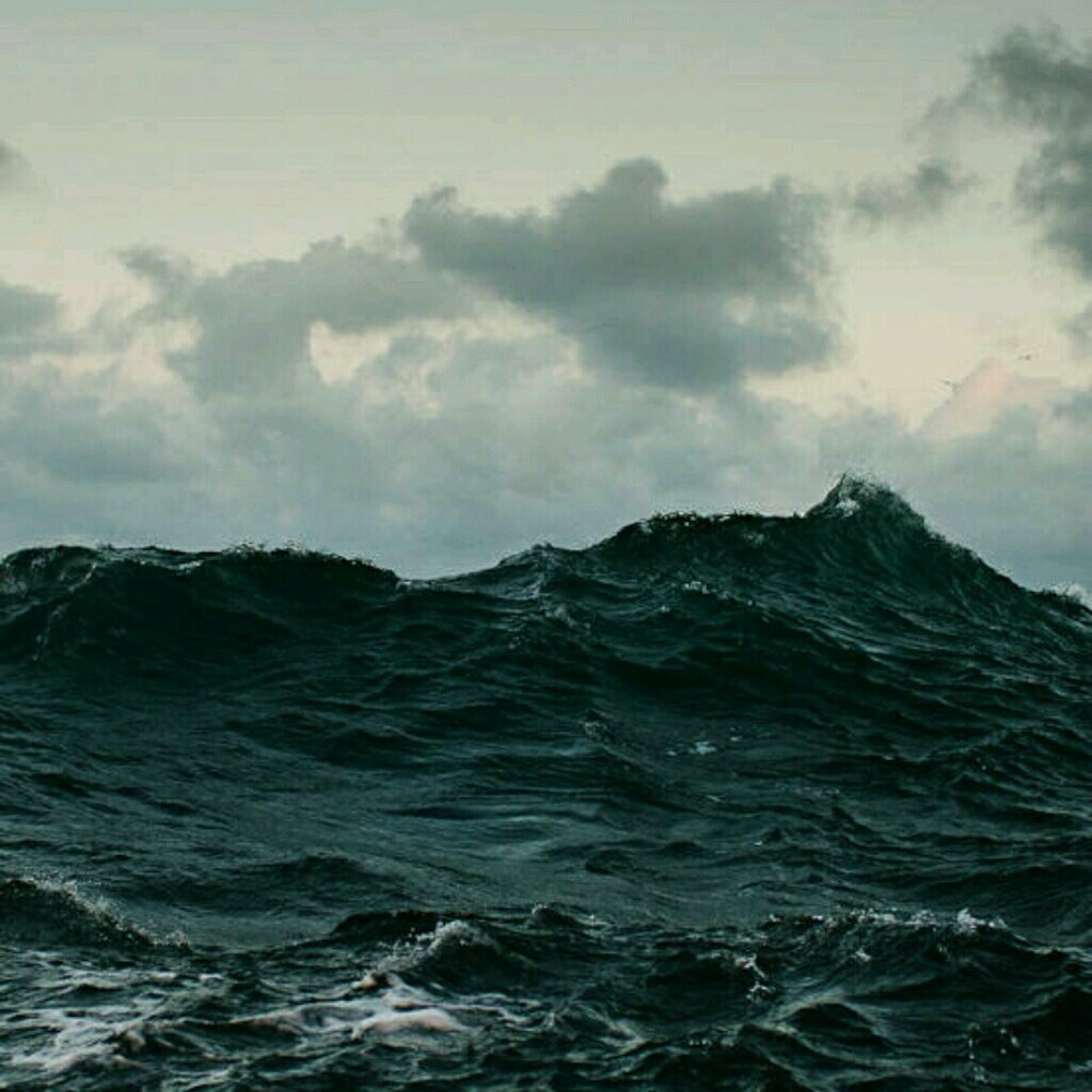 Meet your Posher, Cynthia