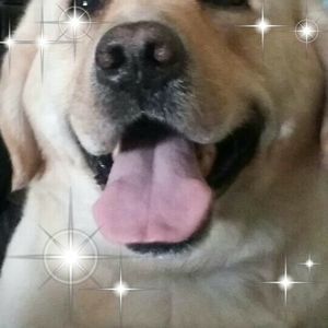 Meet your Posher, Angie