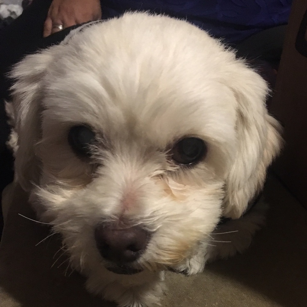 Meet your Posher, Valerie