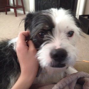 Meet your Posher, Cam