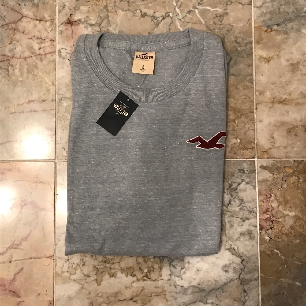 NWT Mens Hollister Short Sleeve T-shirt size L
