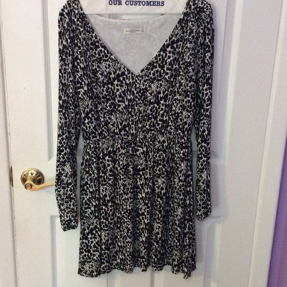 Animal Print Skater Dress