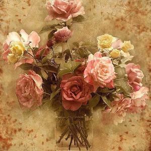 Meet your Posher, Debi