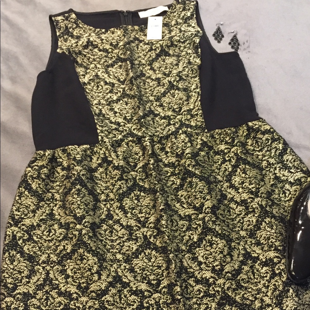 Ann Taylor LOFT Evening Holiday Dress NEW 6