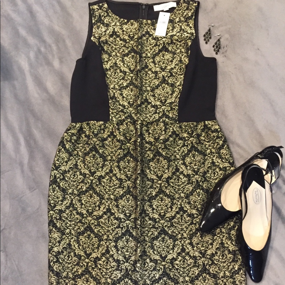 Ann Taylor LOFT Evening Holiday Dress NEW 6