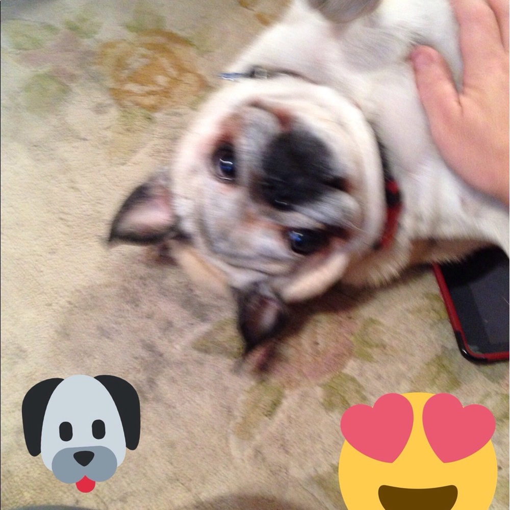 Meet your Posher, Candy