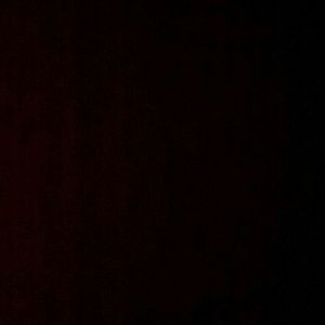 Meet your Posher, Hunter