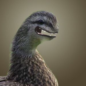 Meet your Posher, Millie