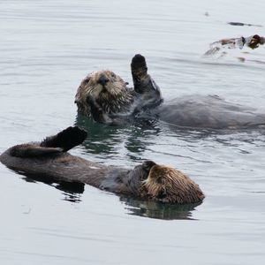 Meet your Posher, Lorie